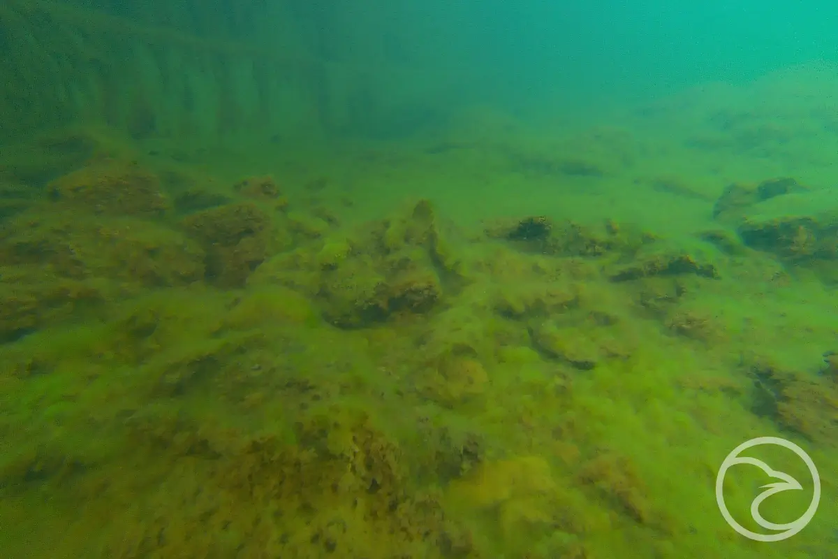 ROV inspection process