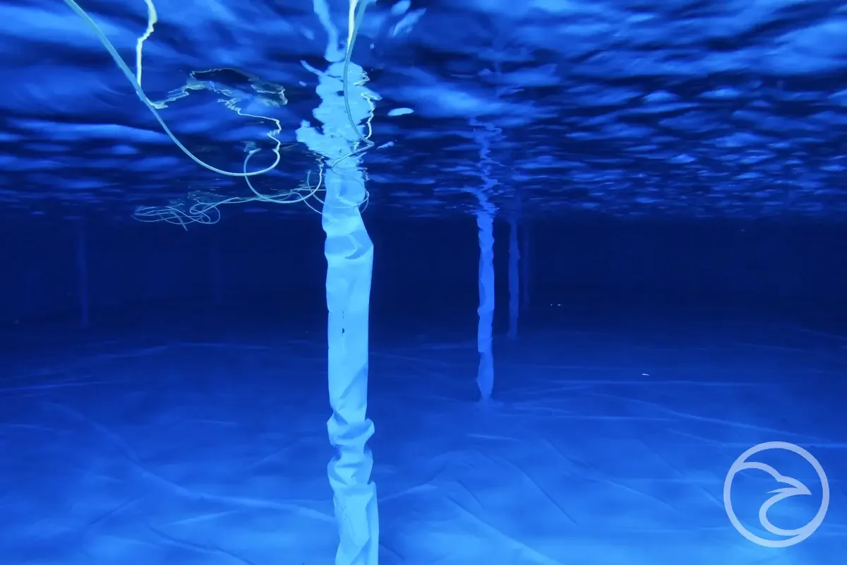 how water tank inspections work